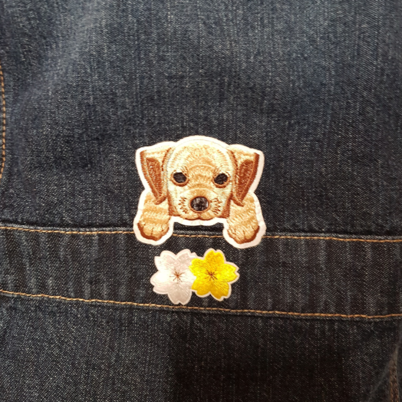 A dog with a Puppy Flower Power Upcycled Denim Jacket on his back pocket.